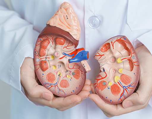 El 9% de la población sufre de enfermedad renal crónica