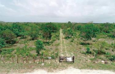 TC cierra las puertas al aeropuerto internacional de Bávaro