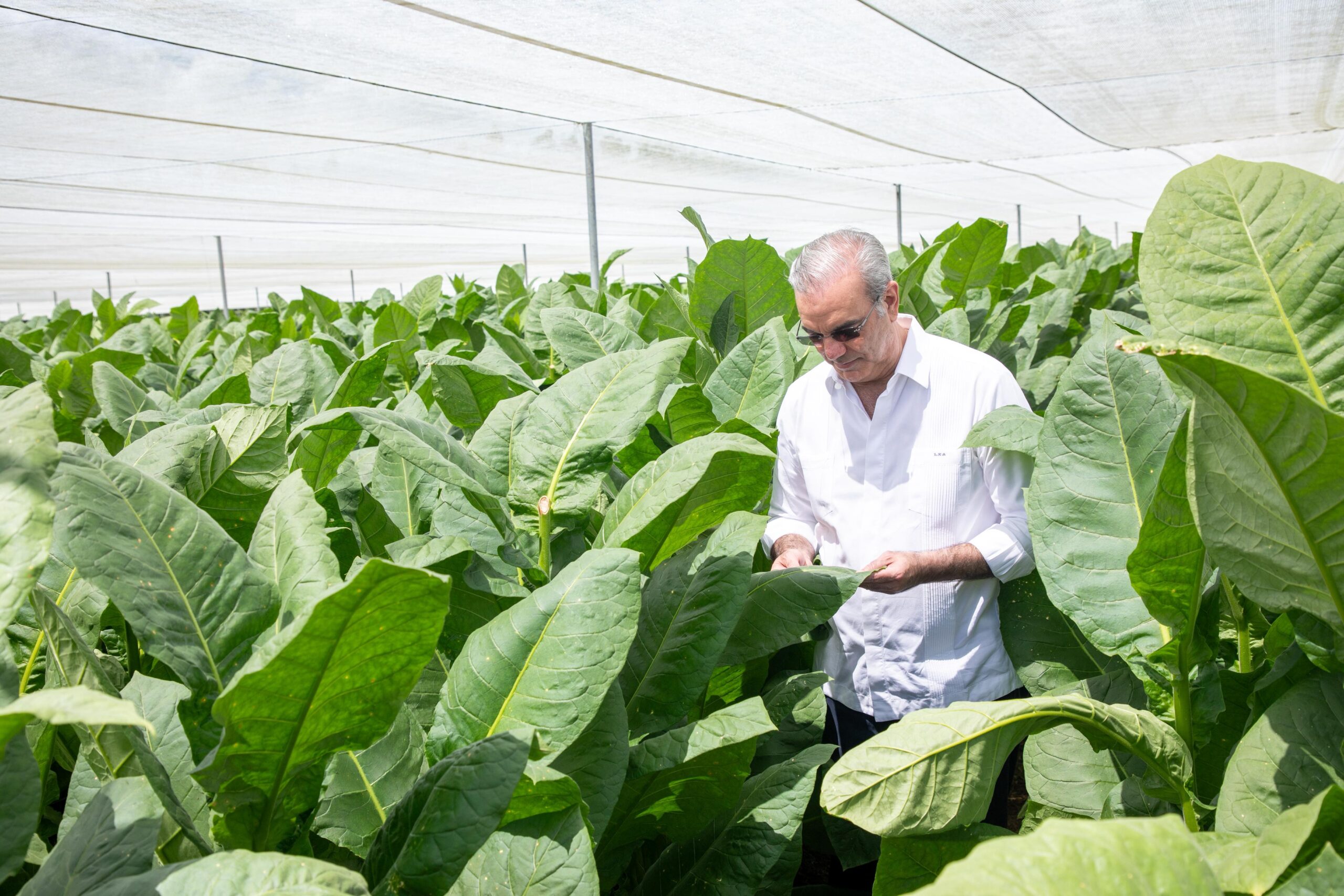 Presidente Abinader visita finca tabacalera “La Milagrosa” de Arturo Fuente en Monte Plata