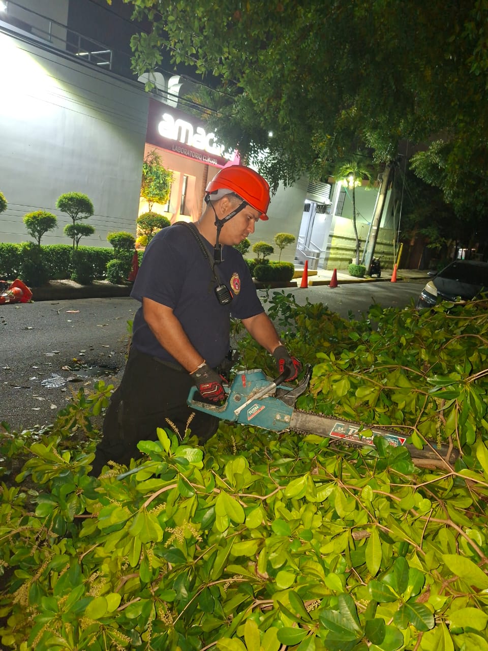 Bomberos y Alcaldía del Distrito Nacional retiran árboles caídos tras fuertes vientos